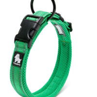 Heavy Duty Reflective Collar Grass Green M by True Love